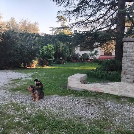 La Poltrona Del Diavolo Bed & Breakfast *